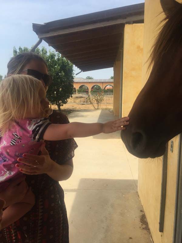 The farm is 300 mt far from the Family Classic 