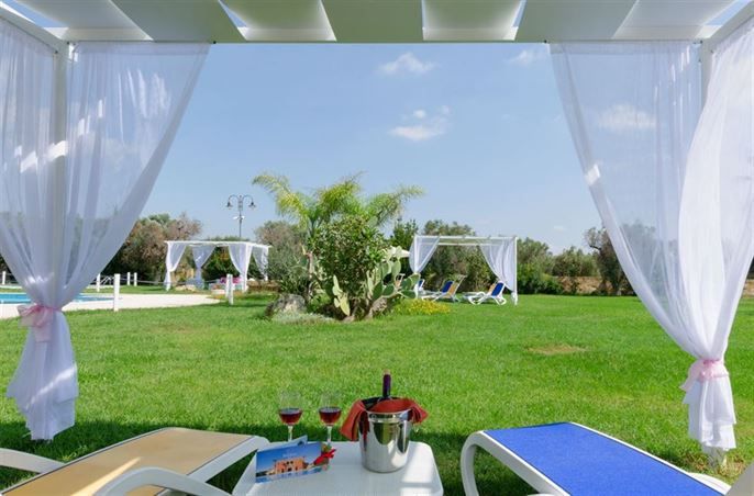 Local Wine tasting - Snack  Bar